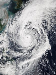 台風19号 被害予想