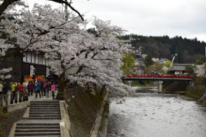2020,春の高山祭,山王祭