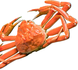 蟹,食べる,下痢