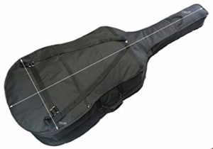 ゴーン,楽器箱,コントラバス