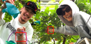 川口春奈,矢地祐介,結婚