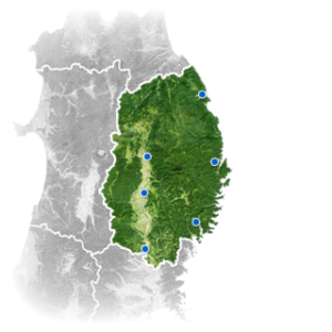 岩手県,コロナ,いない,理由